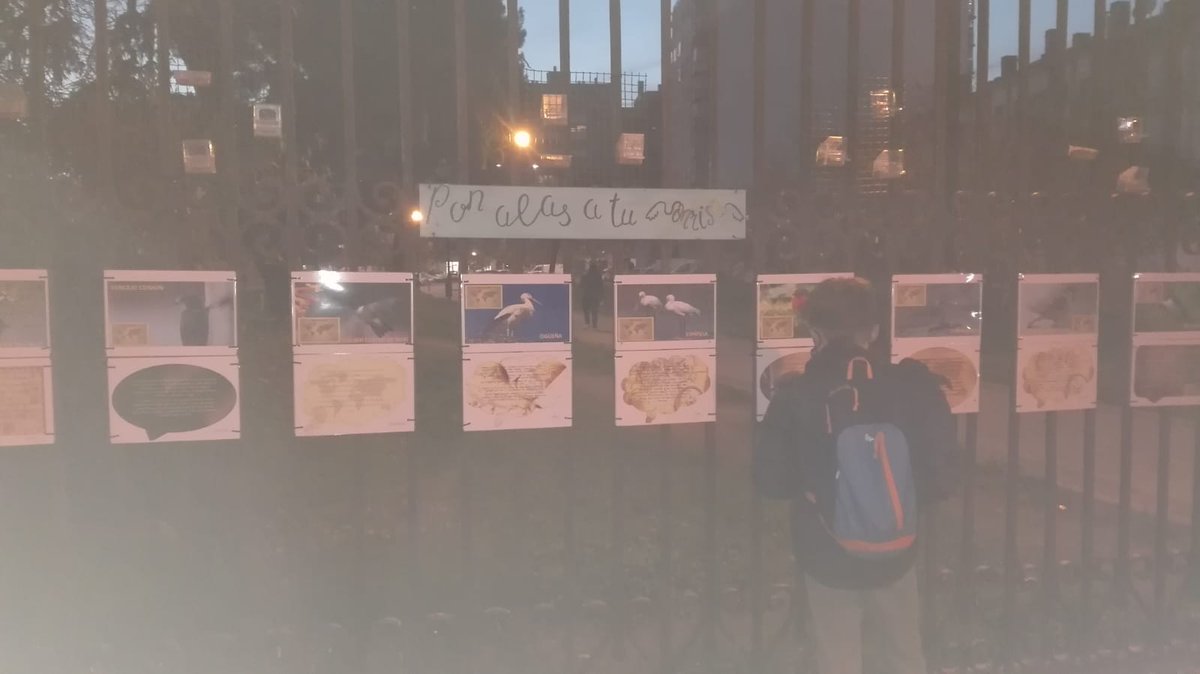 🐦😁 ¿Recordáis el proyecto #PonAlasATuSonrisa? Fue uno de los cinco desarrollados durante nuestra última edición de @LaCiudadImaginada18... En estos dos años, los miembros del equipo no han cesado en su empeño de poner casitas y comederos... ¡¡Bravo 🙌!!