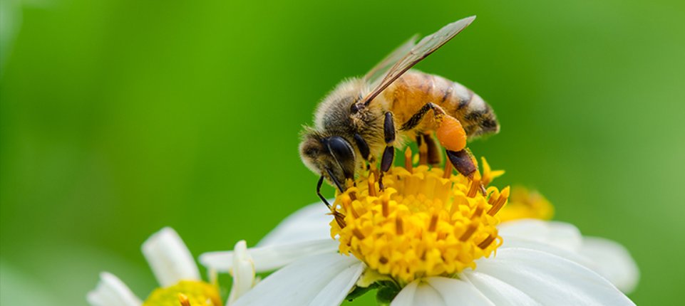 Ƙ ɌØßЄƦŤ ƉØИØVΛИ tweet media