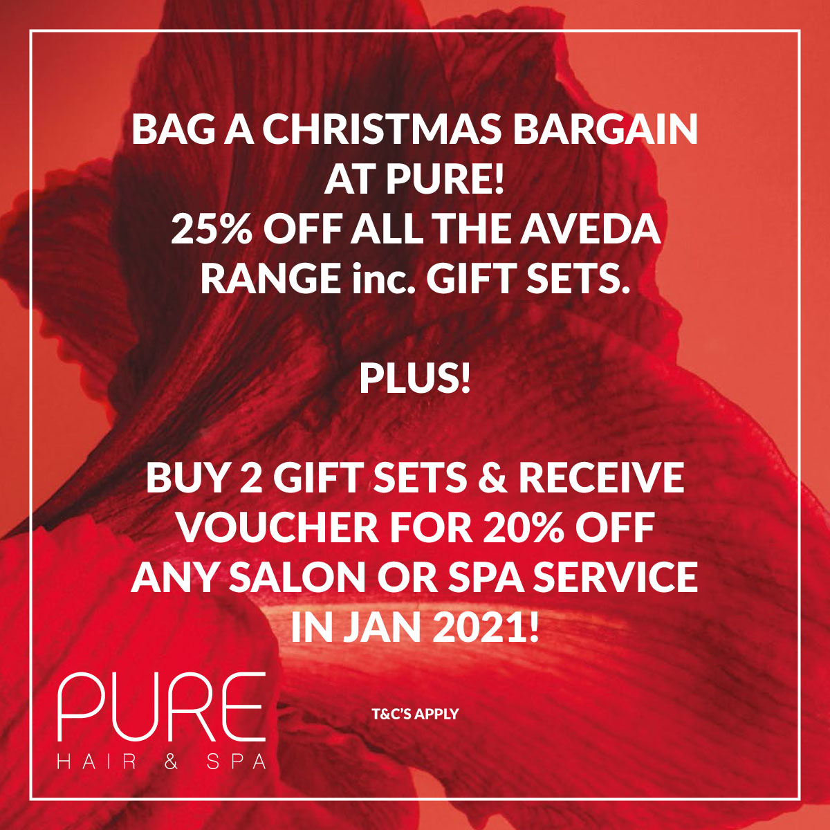 Bag a Christmas Bargain at Pure! - mailchi.mp/7b6c3edb6cc7/b…