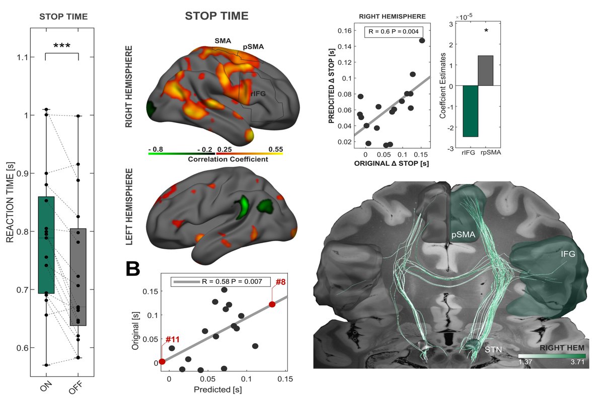Roxanne Lofredi tweet media