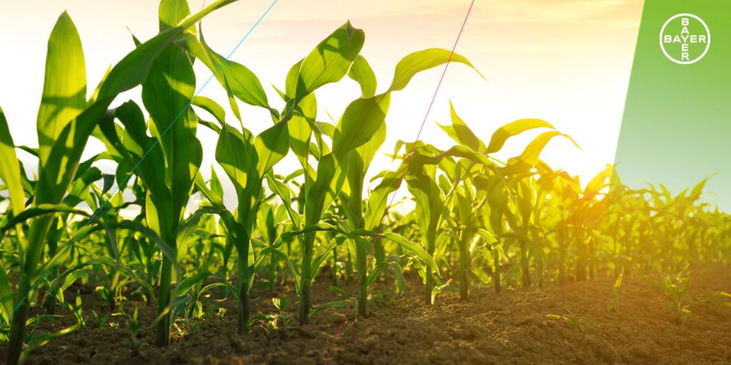 Farming has always come with challenges, but today’s technology enables tailored solutions for farmers’ individual fields.

Our President <a href="/LSafarian/">Lisa Safarian</a> speaks on how data could be the sharpest new tool in modern agriculture: 

spr.ly/6011HED11

#ModernAg <a href="/WSJ/">The Wall Street Journal</a>