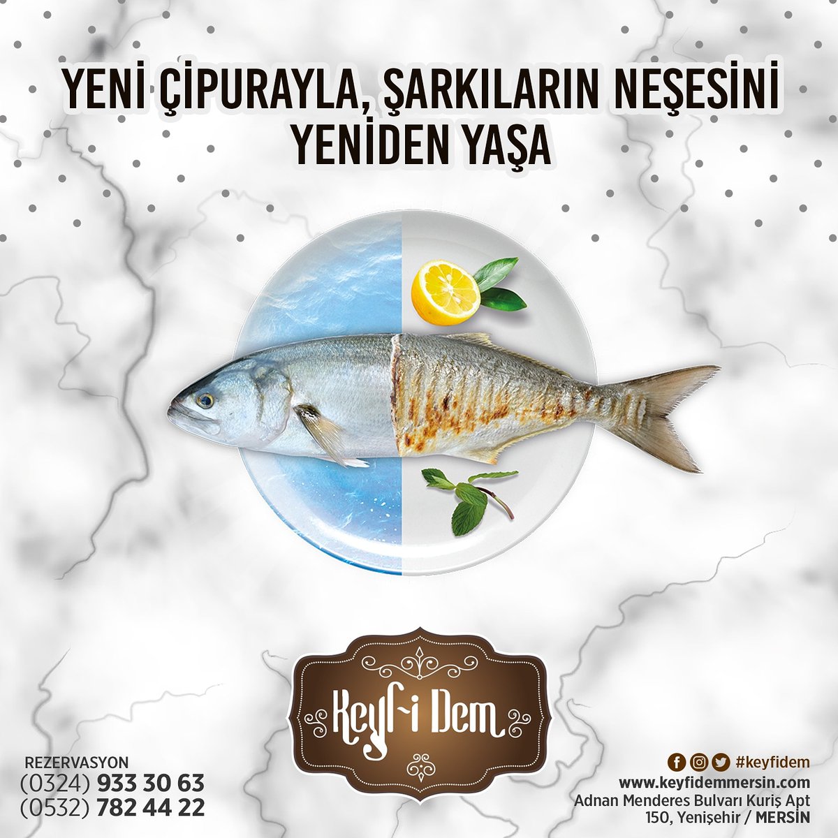 keyfidemmersin's tweet photo. Yeni Çipurayla, Şarkıların Neşesini Yeniden Yaşa

#keyfidem #keyfidemmersin #meyhane #eğlence #yeninesilmeyhane #fasıl #canlımüzik https://t.co/n2nBf9W7Uq