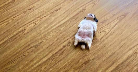 😪😴💤
