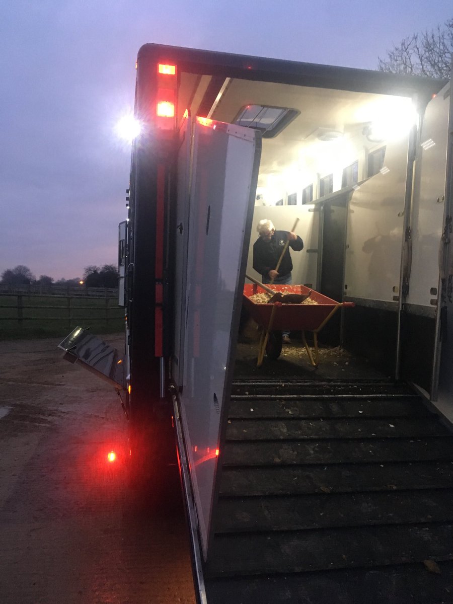 It’s always exciting when the new horses arrive.......This was the crack of dawn this morning! I don’t think it ever wears off!