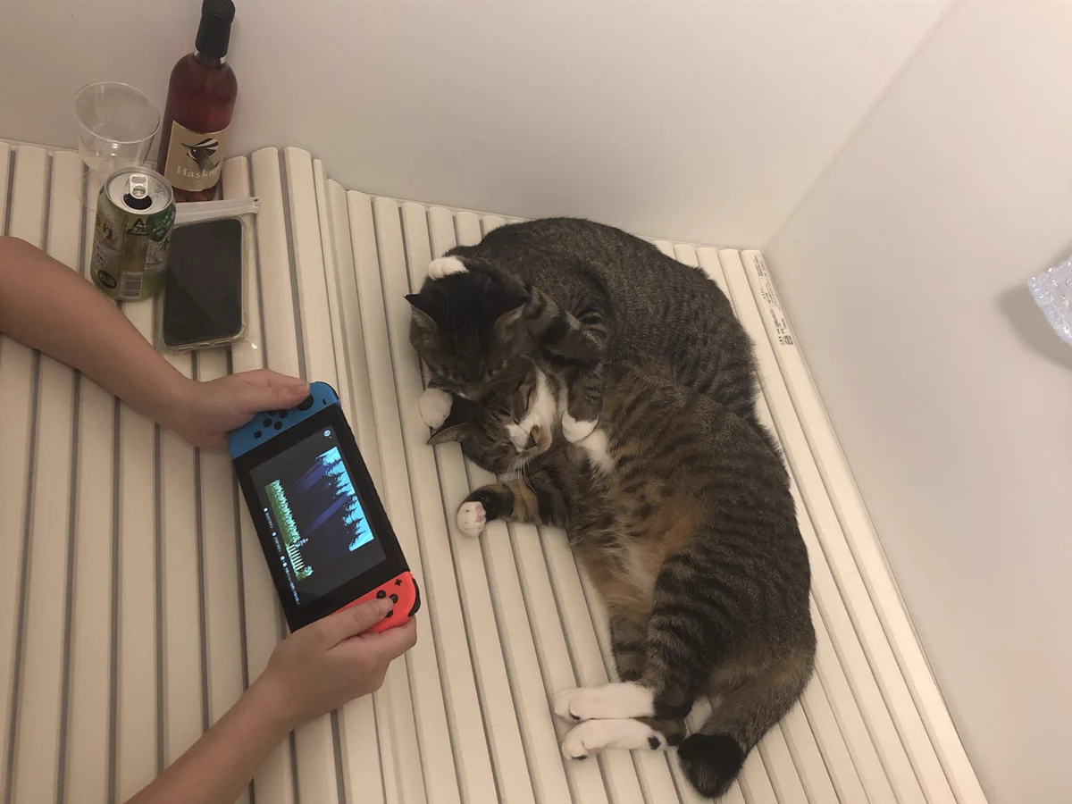 同棲している彼女のお風呂時間に驚き！楽園を満喫しているその姿とは！！