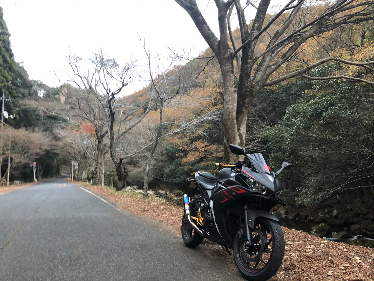 JOKABLOG's tweet image. 紅葉見に行ってきました！
綺麗だった〜…