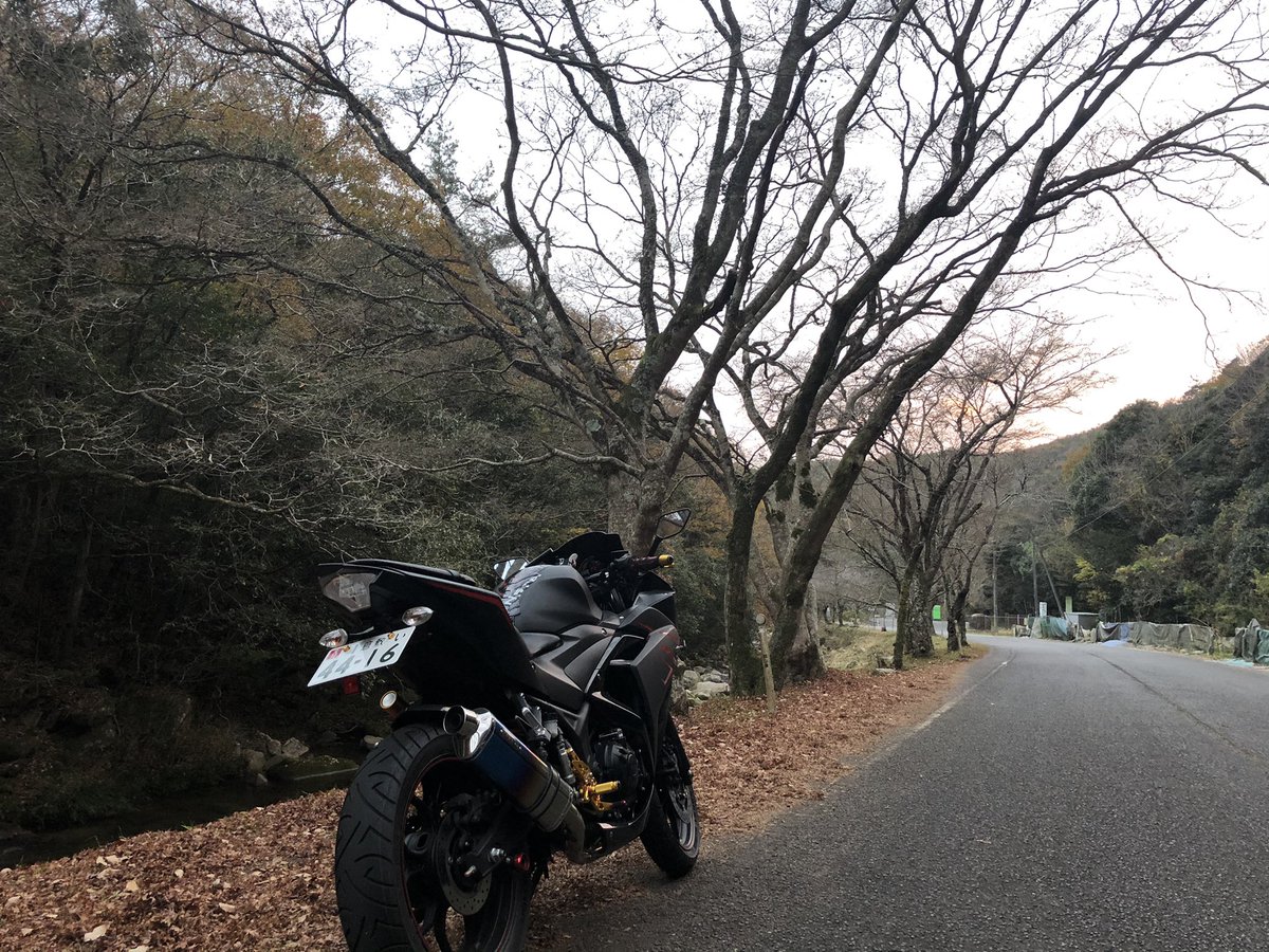 JOKABLOG's tweet image. 紅葉見に行ってきました！
綺麗だった〜…