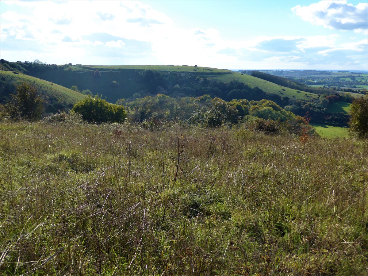 The univallate hillfort enclosing the upper slopes of Old Winchester Hill  #Hampshire is of relatively simple design but remains imposing and substantial, even after 2,000 years. As yet unexcavated, it's presumed to be Early Iron Age in date #HillfortsWednesday