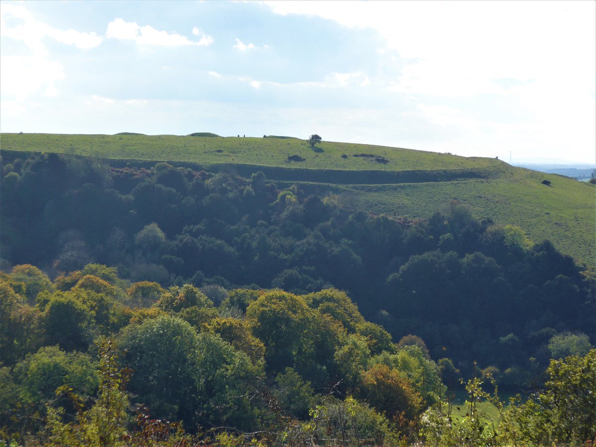 The univallate hillfort enclosing the upper slopes of Old Winchester Hill  #Hampshire is of relatively simple design but remains imposing and substantial, even after 2,000 years. As yet unexcavated, it's presumed to be Early Iron Age in date #HillfortsWednesday