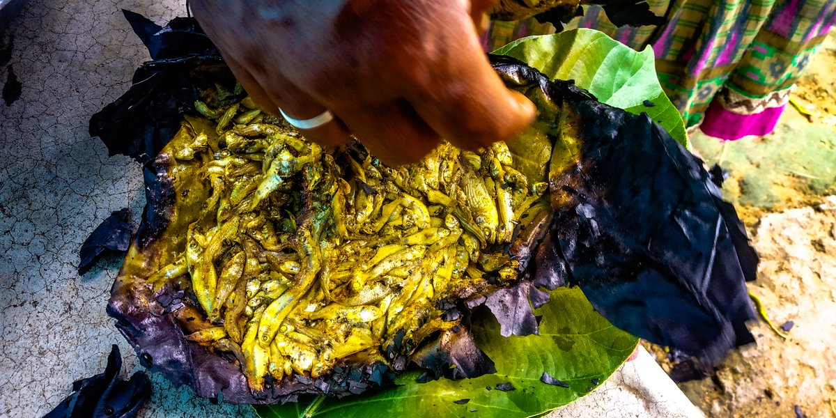 This mouth-watering dish, quite commonly seen in the states of Odisha, Jharkhand, Chhatishgarhand others. <a href="/ForestRightsAct/">Forest Rights</a> <a href="/ipmsdl_/">Int'l Indigenous Peoples Movement</a> <a href="/NDTVFood/">NDTV Food</a> <a href="/idioticwanderer/">hodohon</a> <a href="/SorengArchana/">ARCHANA SORENG</a> @AkashPoyam <a href="/mahatribes/">Tribal Development Department, GoM</a> <a href="/adivasiqueer/">Christy</a> <a href="/NeetishaXalxo/">neetisha xalxo</a> <a href="/VasundharaO/">VASUNDHARA, Odisha</a> <a href="/vincylouise/">Vincent Munda</a>