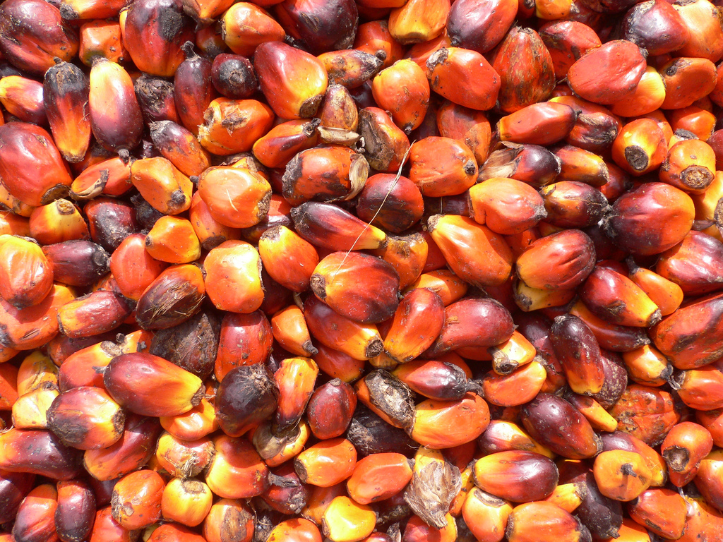 The  #PalmOil industry is a major contributor to  #Indonesia's economy and in 2018, 36.6 million tonnes of palm oil were produced, equal to roughly half of the world’s supply.