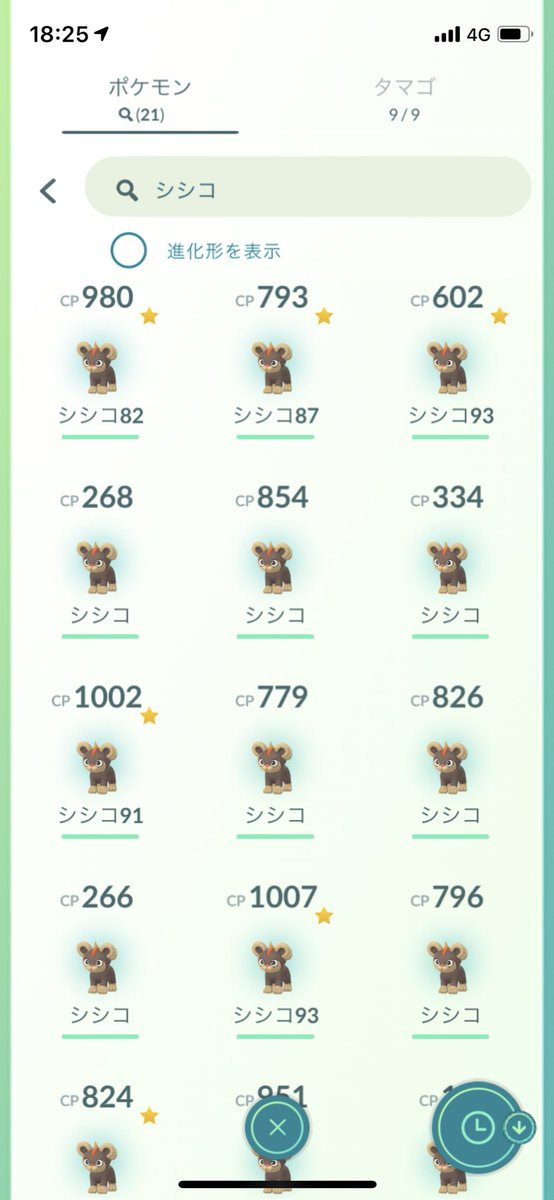 シシコ シシコ
