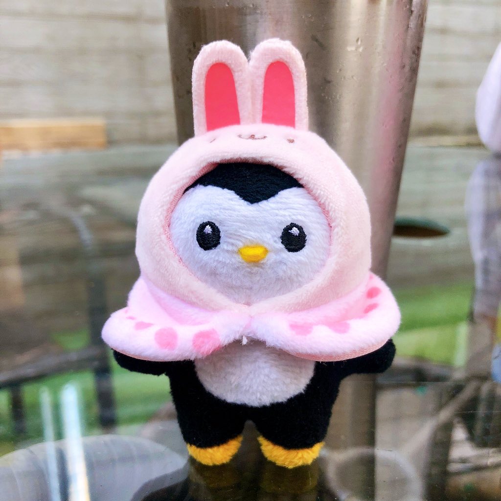 산🐇토끼🐰 토끼🐰야💖
어~디를 가! 느! 냐!
깡❣️총🎀깡❣️총🎀  뛰어서🥕
오~디 를! 가느냐💕

뽀동이는 눈나한테 간다🌱💚