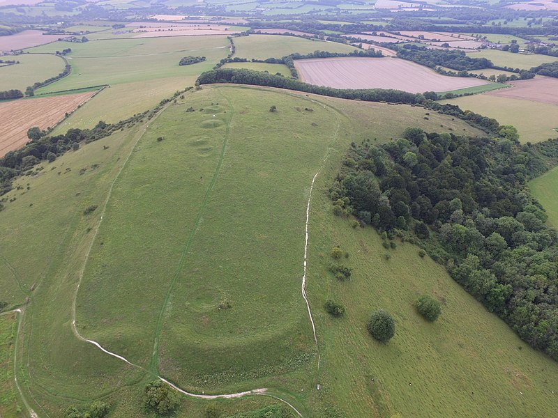 The Iron Age ramparts of Old Winchester Hill  #Hampshire are at their most imposing by the SE and NW inturned entrances. The SE entrance, where approach was easiest, was originally strengthened by an external hornwork #HillfortsWednesday Hunanuk CC BY-SA 4.0