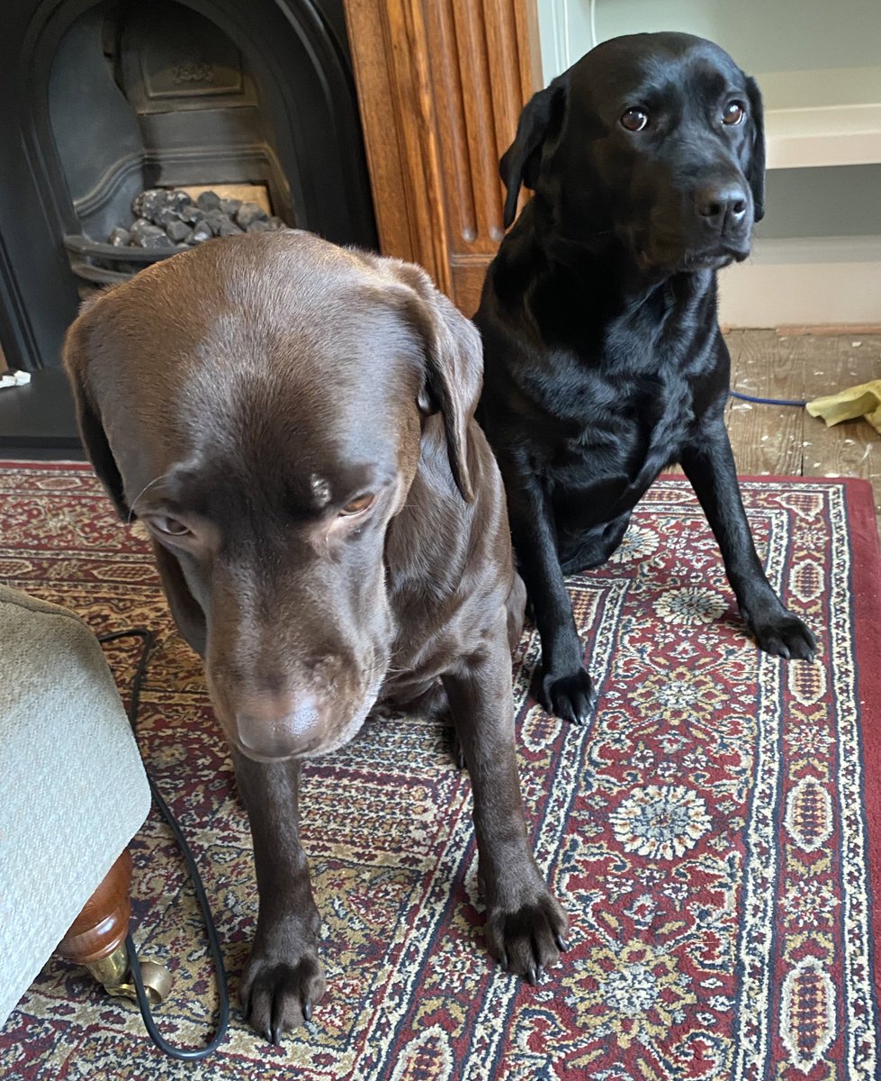 NancyandLottie tweet media