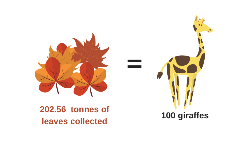 OneTrafford's tweet photo. Last week, our leaf clearance teams collected the equivalent weight of 100๐ฆ!! That's a lot of leaves!!
But we're not done yet, and this week you'll find them in Hale and Davyhulme, removing lots more๐to help keep you moving safely. #TraffordNumbers #Autumn https://t.co/xEI1UXDZdv