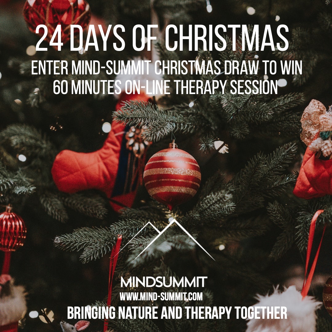 mindsummituk's tweet image. On the second day of Chrismas, I had 60 minutes of relaxation and calm. Click to enter: mind-summit.com/events/24-days…