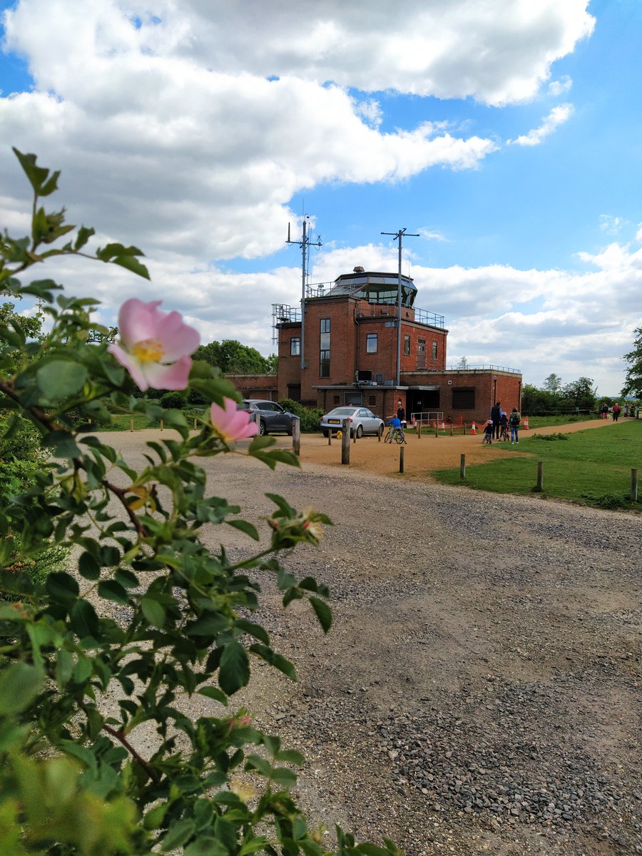 PhilippaHarper3's tweet photo. I'm really glad to announce that it's now much easier to post pictures and video-clips on the Greenham in Bloom FB page - let's help wildlife to thrive and share the love :)

https://t.co/oCDZQcuVza

#greenham #greenhamcommon #photography @NewburyToday  @KennetRadio https://t.co/wVIKNEXcH4