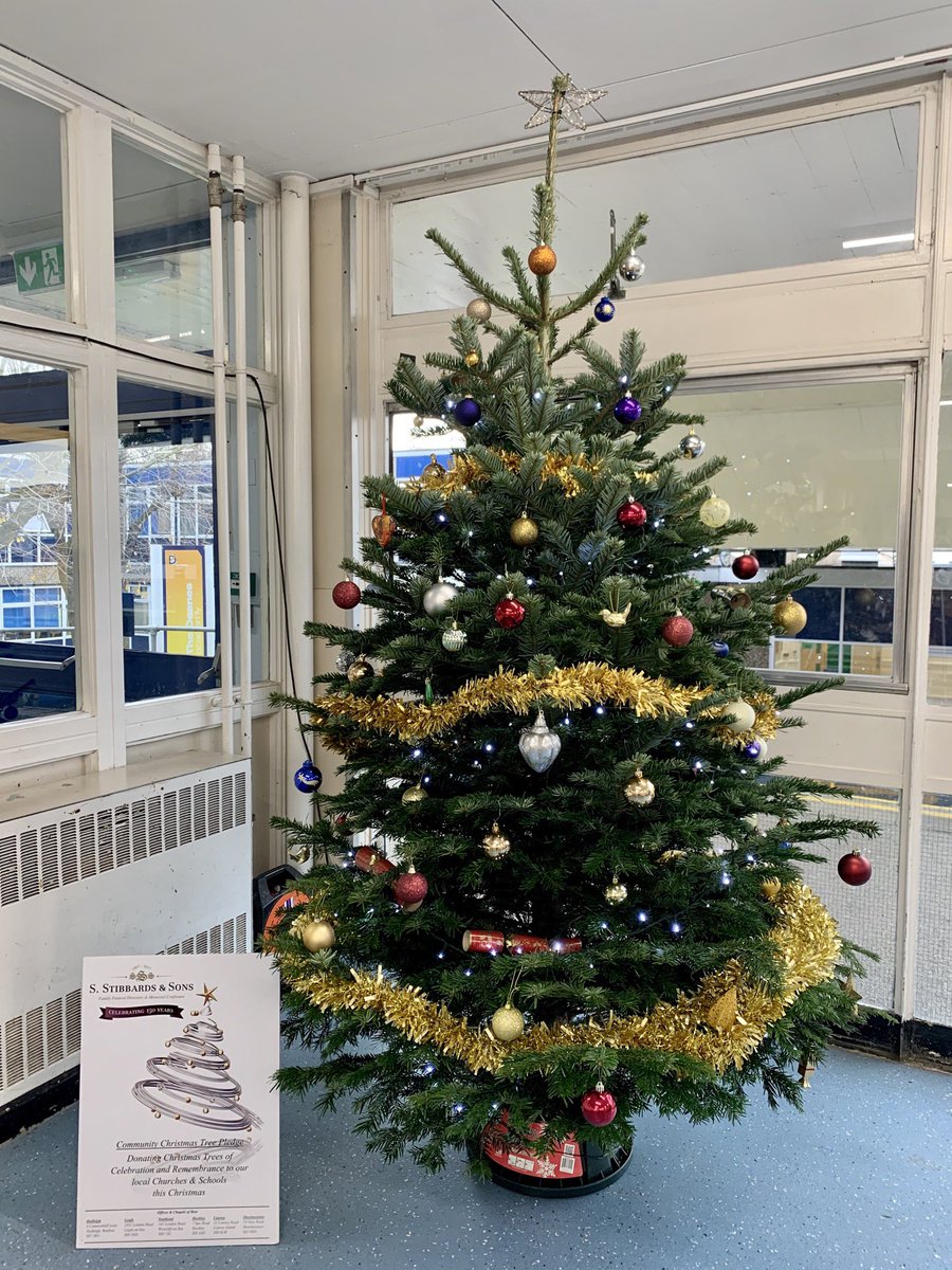 DeanesCatering's tweet photo. Thank you so much @FryerStuart for our lovely Christmas tree 🎄 from S .Stibbards &amp; sons . https://t.co/sgYgSNEGX7