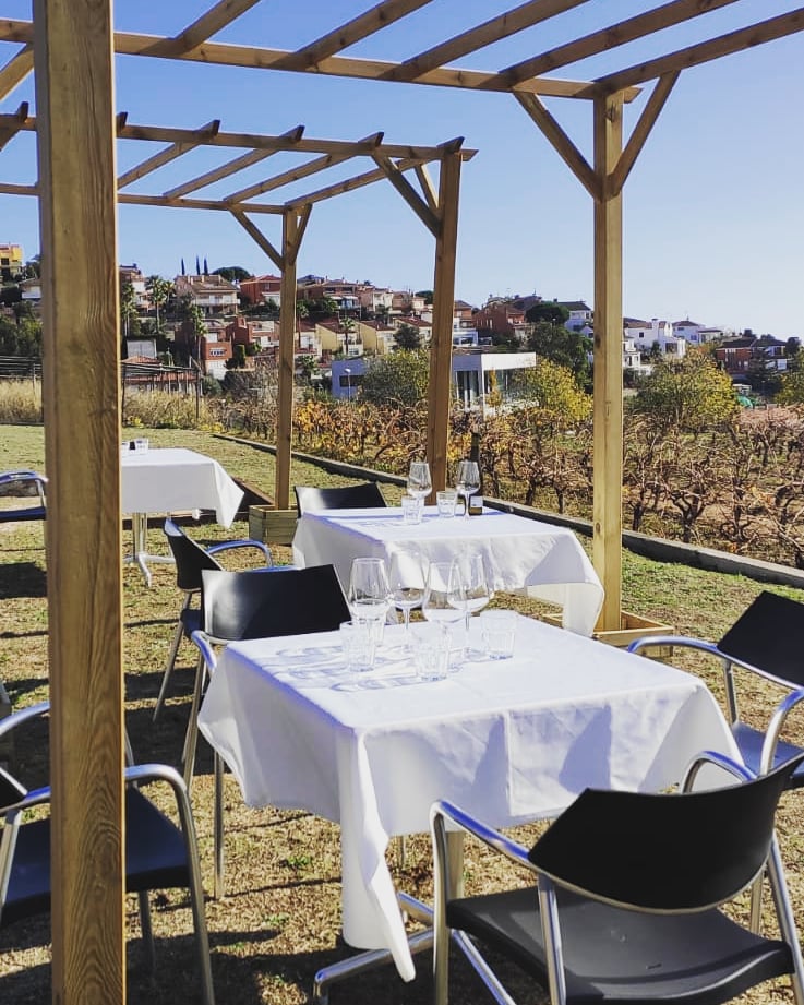 Aquest cap de setmana i també el dimarts dia 8 de desembre veniu a visitar el jaciment romà de Vallmora i després gaudiu d'un aperitiu entre vinyes i amb vistes al segle I. 
Recordeu fer reserva a info@vallmora.cat o WhatsApp al 
615 61 98 94. Us esperem!