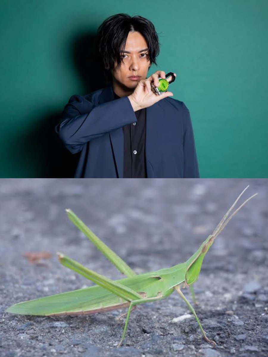 羊羽 タカ トラ バッタ タ ト バ タトバ タ ト バ