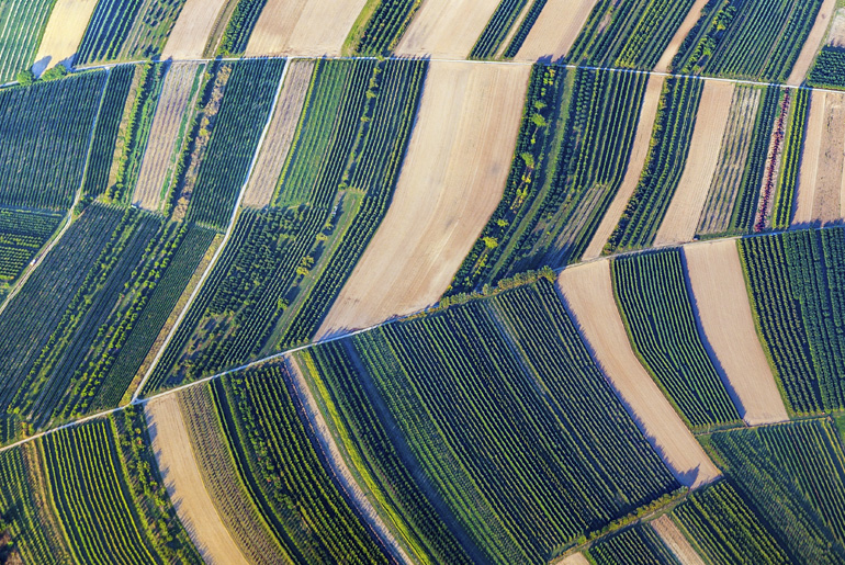 Augmenter les rendements, c’est forcément renoncer à la qualité? 🧐

blogresonnances.fr/augmenter-les-…
#Agriculture