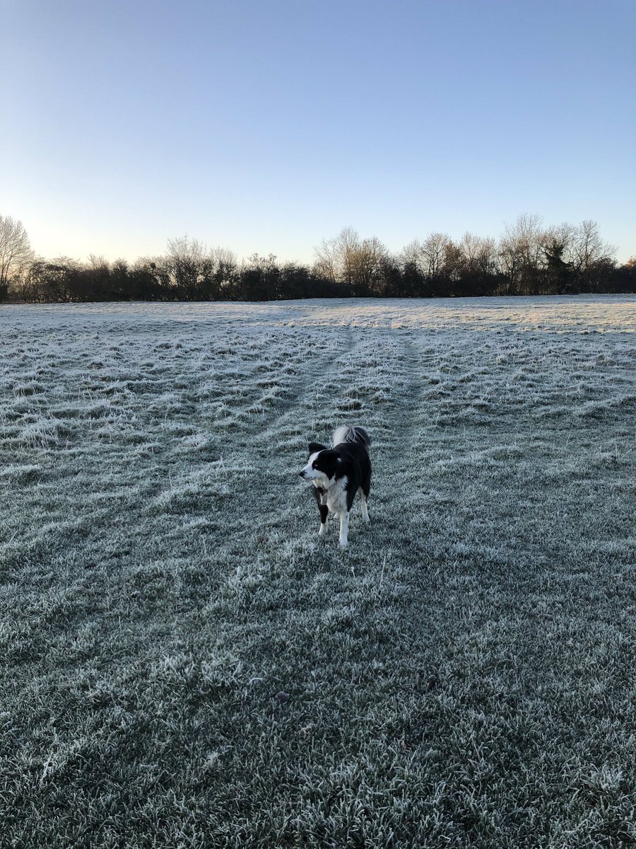 CDS_CIC's tweet photo. Think Santa will be bringing Alison CEO @CDS_CIC some new trainers 👟👟for Xmas!!! She has achieved a huge 828.45km over the 8 weeks of the #walkfromhome campaign!!  A-MA-ZING!!! #cdsohimp #ohimpoxfordshire https://t.co/O2uQZpSu95