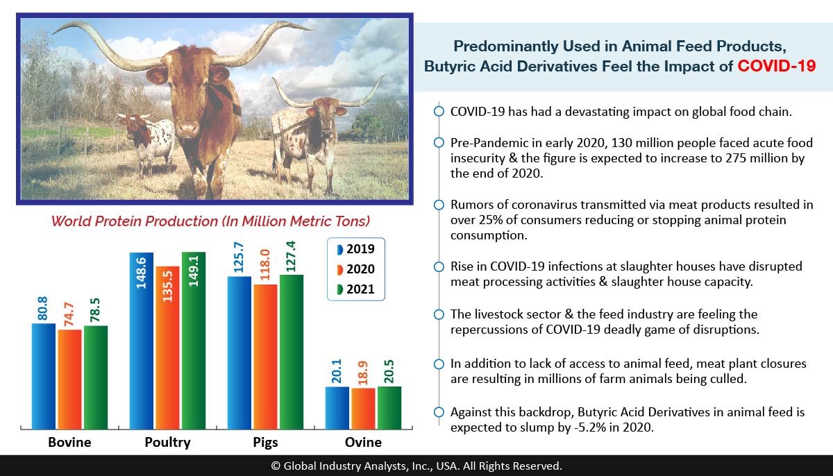 Global Food Supply Chain Comes Under Strain. Feed Manufacturing Sector Grapples With the Challenge...🧪 bit.ly/35tov2b #ButyricAcidDerivatives #SodiumButyrate <a href="/KeminInd/">Kemin Industries</a> @DSM <a href="/perstorpgroup/">Perstorp Group</a> #MarketBytes