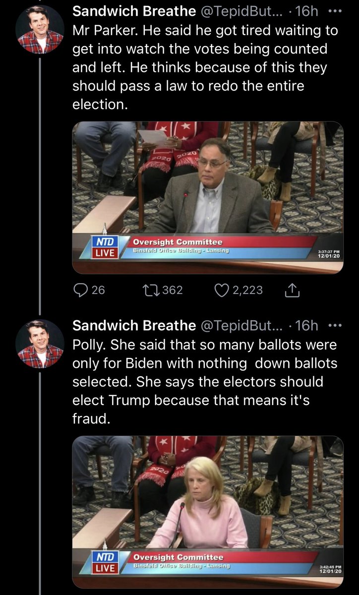 When the Trump campaign claims they have “evidence” of fraud, they’re referring to... this  https://twitter.com/tepidbutterasmr/status/1333862192928731142