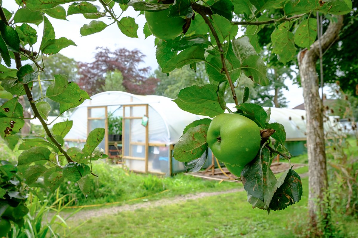 The Kindling Trust tweet media