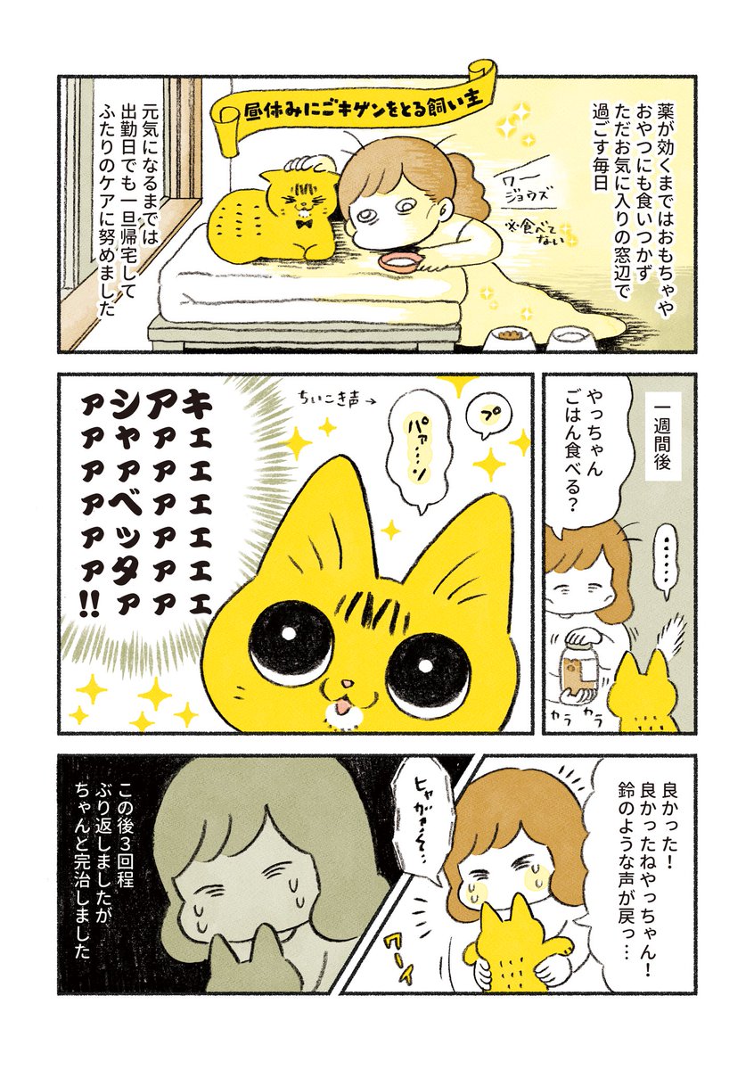 やっちゃんの異変 