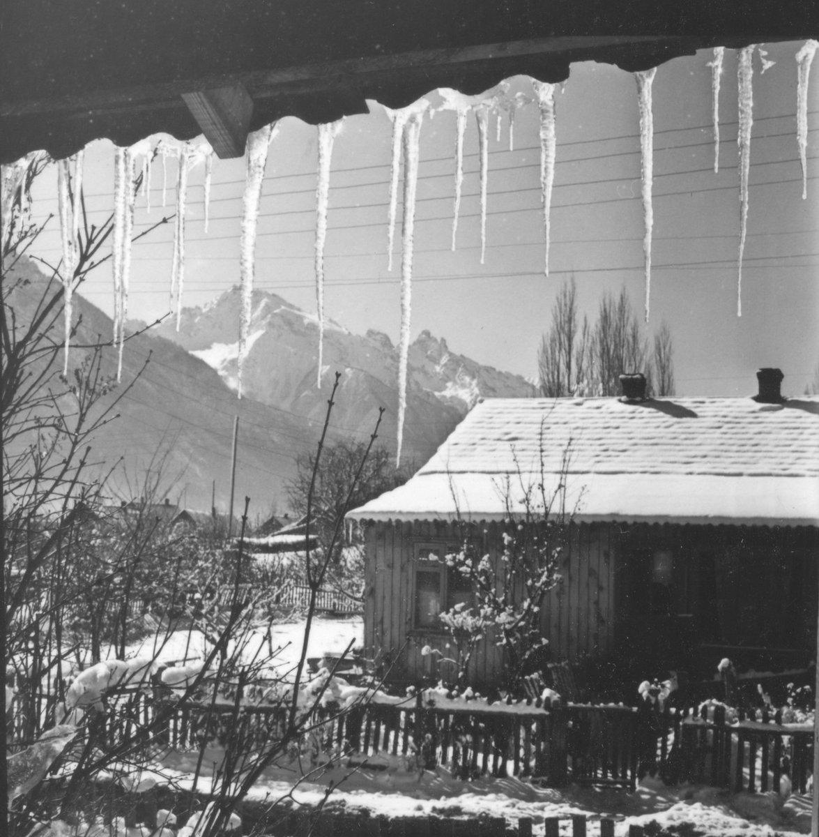 Ənvər Qaragözovun Gəncə şəkilləri