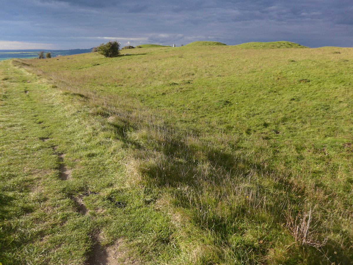 Three substantial Bronze Age barrow mounds and a possible pond barrow survive within the circuit of Old Winchester Hill Iron Age hillfort  #Hampshire  @sdnpa  @NaturalEnglandThey were almost as old to the hillfort builders as the hillfort is to us #HillfortsWednesday