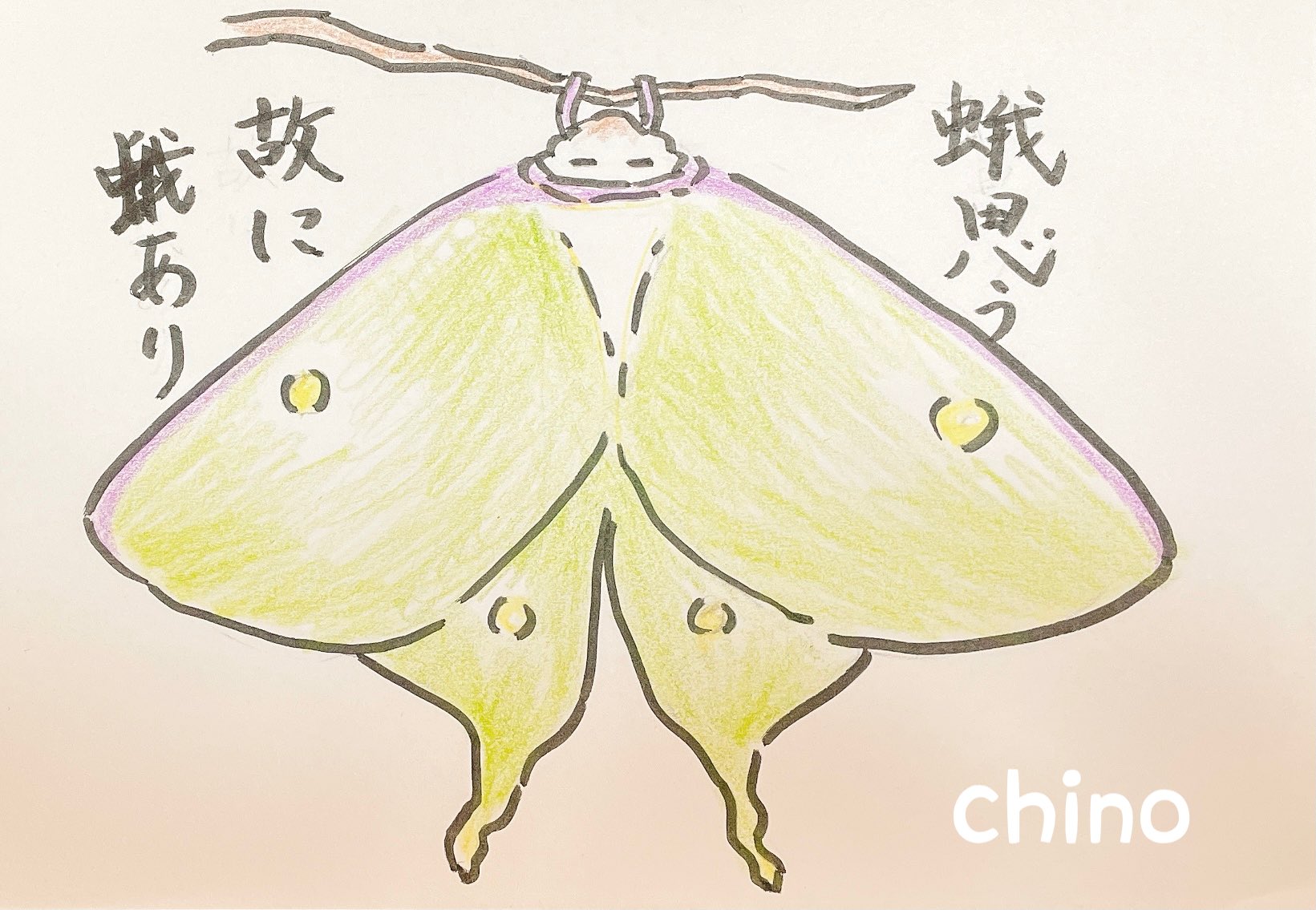 イラストレーター 羽月ちの Hatukichino Twitter