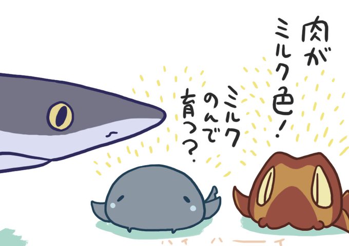 ネコザメのtwitterイラスト検索結果 ネコザメのtwitterイラスト検索結果