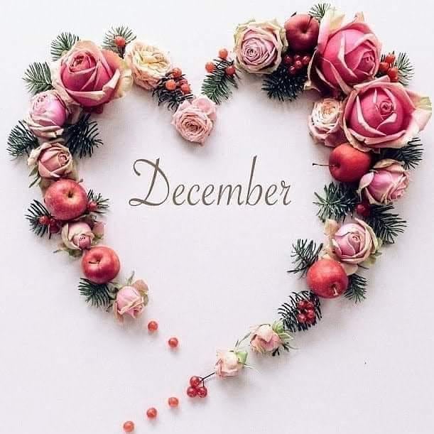 LydiaEbenezer1's tweet photo. This Feels Hard To Say But Happy New Month Everyone | jumoke | Yansh | Shekau| Okonjo-Iweala | Yoruba| Burna| Jopearl | Linda Ikeji | Cheating |Steff| Ned Nwoko | Igbo | Justine | #BiafraExit https://t.co/O8t6suX6Ao