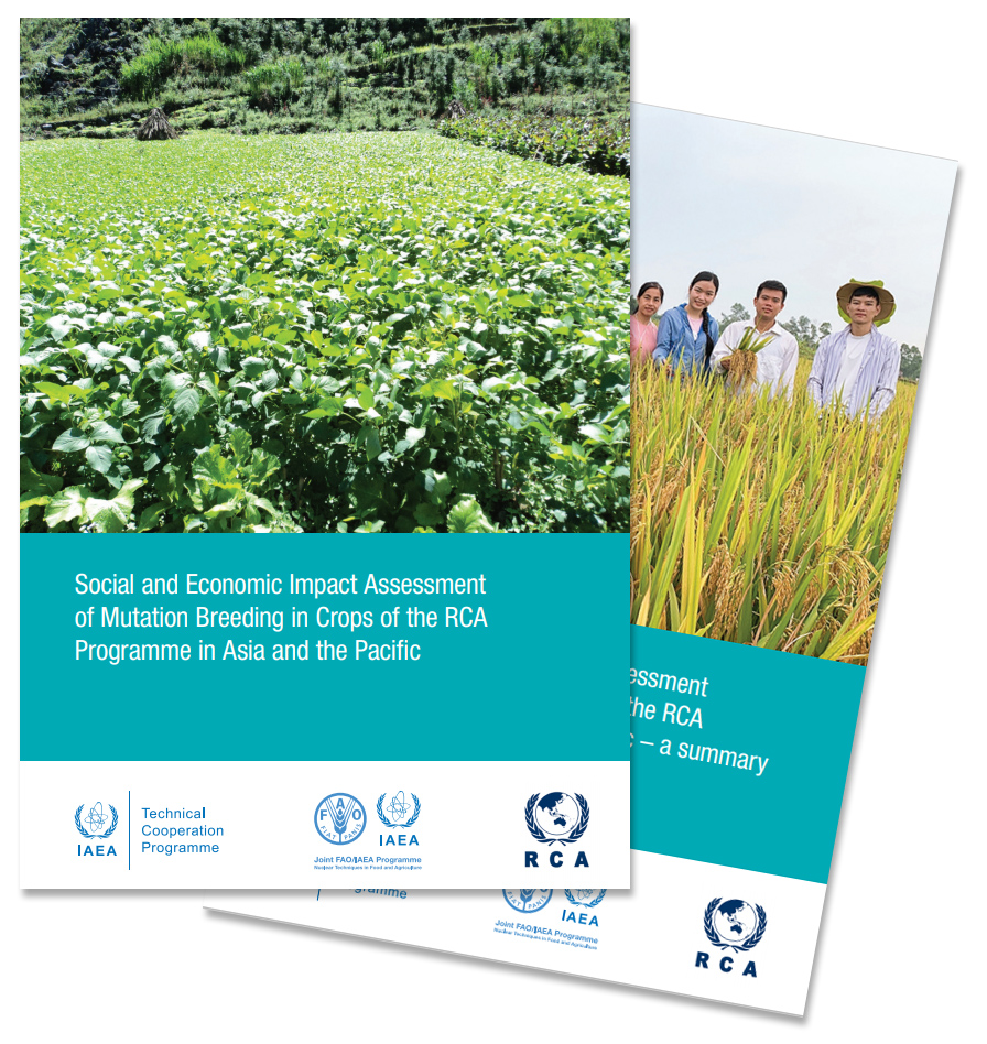 IAEATC's tweet photo. Journeys to Success (https://t.co/uWqjpwjfI0) presents success stories in technical cooperation from across #Asia and the #Pacific, while the Socio-Economic Assessment (https://t.co/ULvYLg4CxE) measures the impact of the RCA Crop #MutationBreeding Programme across 20 years https://t.co/JIR6p8YE2h