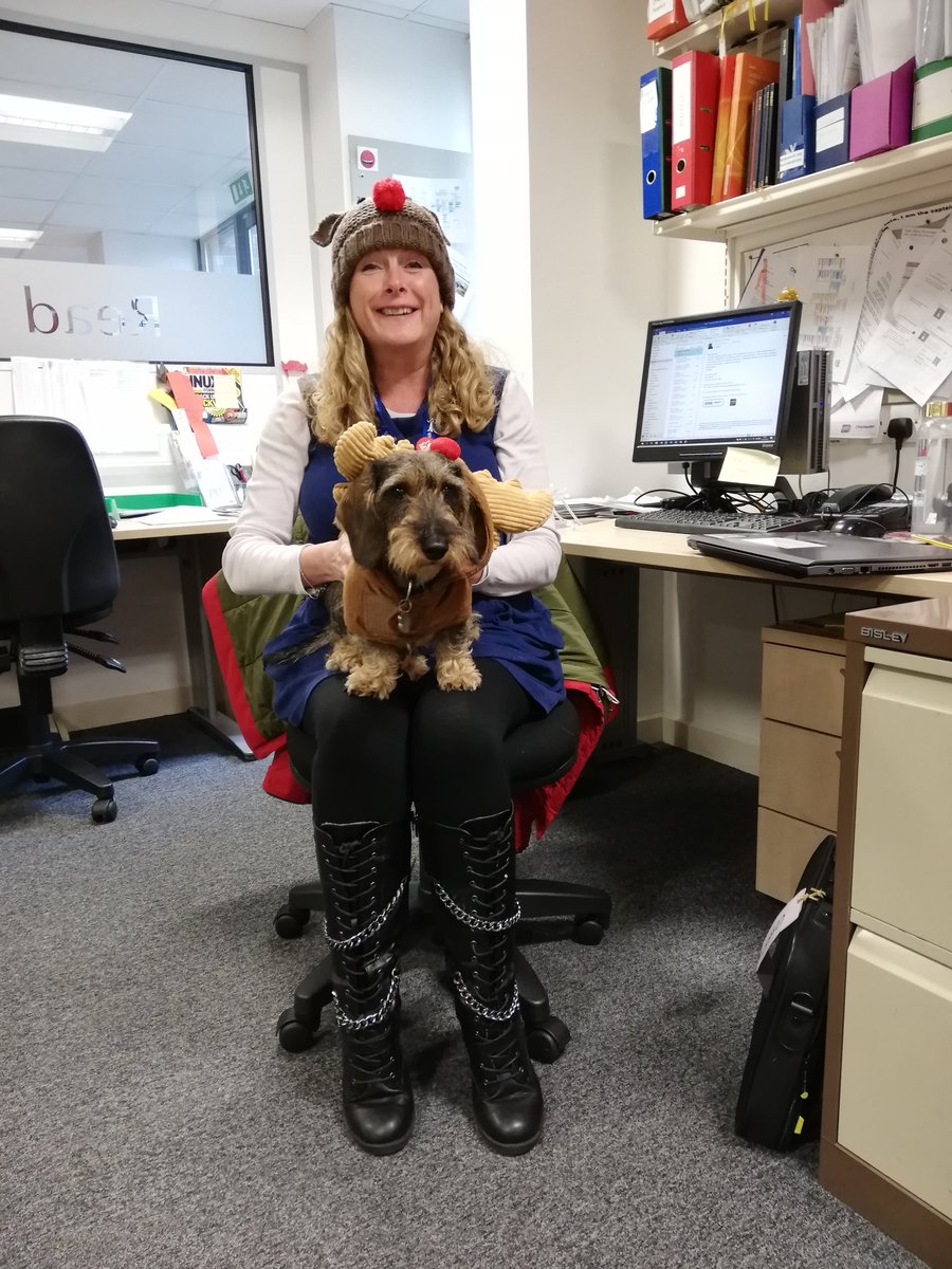 CcgLibrary's tweet image. Matching reindeers! @WSnosidge looks less than impressed.