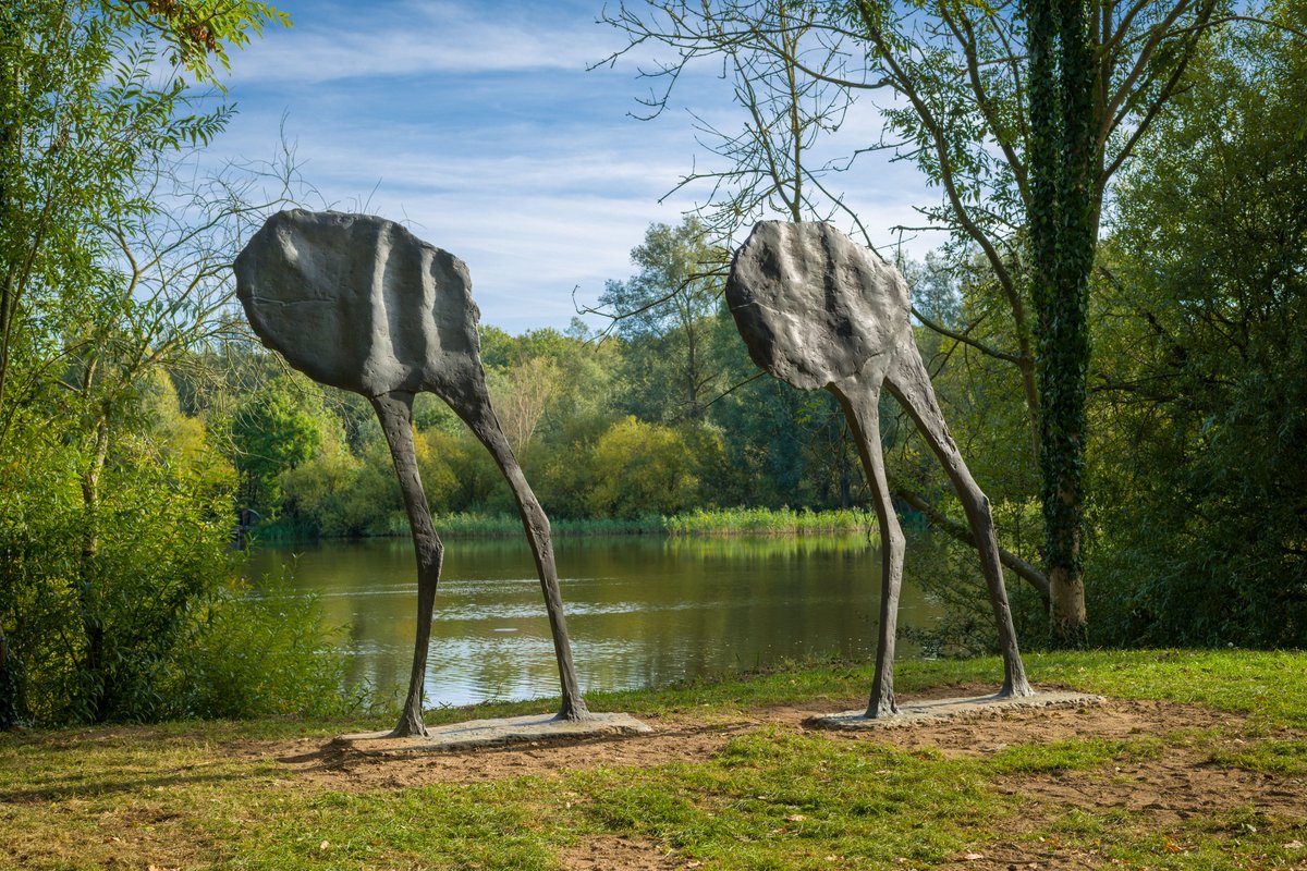 visitnorfolk's tweet photo. New specialty coffee outlet, The Terrace, opens to the public today @SainsburyCentre, serving coffee from multi award-winning roasters @squaremile. Why not go along after a bracing walk around the @uniofeastanglia broad, enjoying the sculpture trail. https://t.co/qEPnnQtcWn