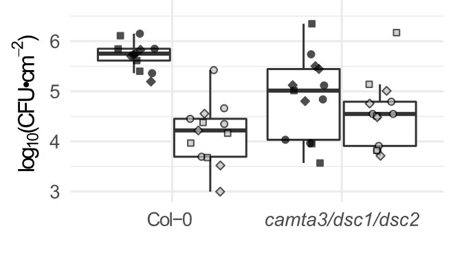 The GSR is major part of elicitor transcriptional response: is it a major part of immunity? Mutants in CAMTA3 (with the two R proteins that guard it) are altered in both basal and elicitor-induced immunity.7/12