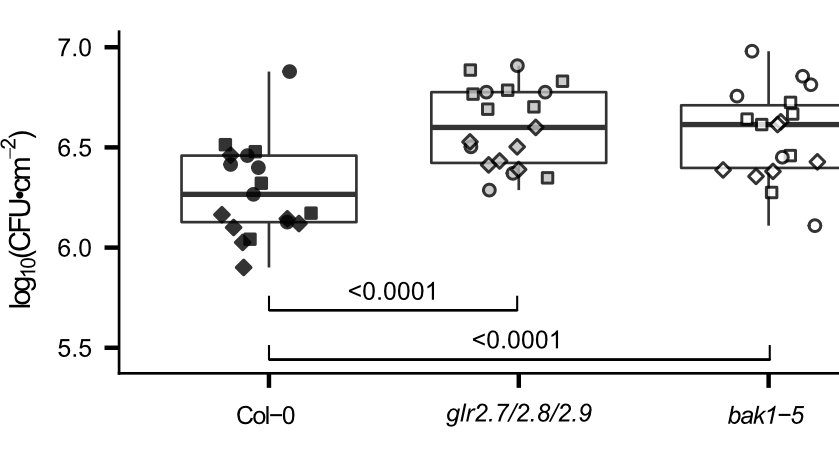 That's not a huge change in Calcium influx, but it is enough to result in quantitative changes in bacteria susceptibility!10/12