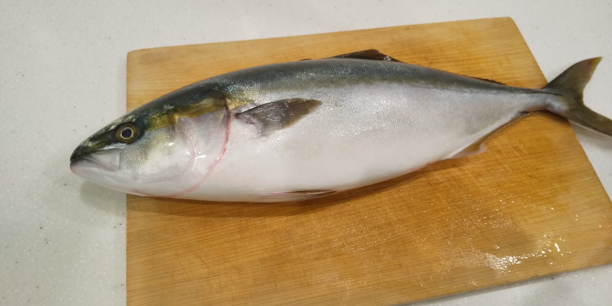 猫好きの魚屋さん 美味しそうなハマチ ツバス位の大きさ を買って帰りました 片見はお刺身で アラは煮てたべます もう片身は切り身にしたので 明日 塩焼きか照り焼きにします お刺身はマイワイフとガクさんに好評でした ハマチ ツバス 刺身 魚