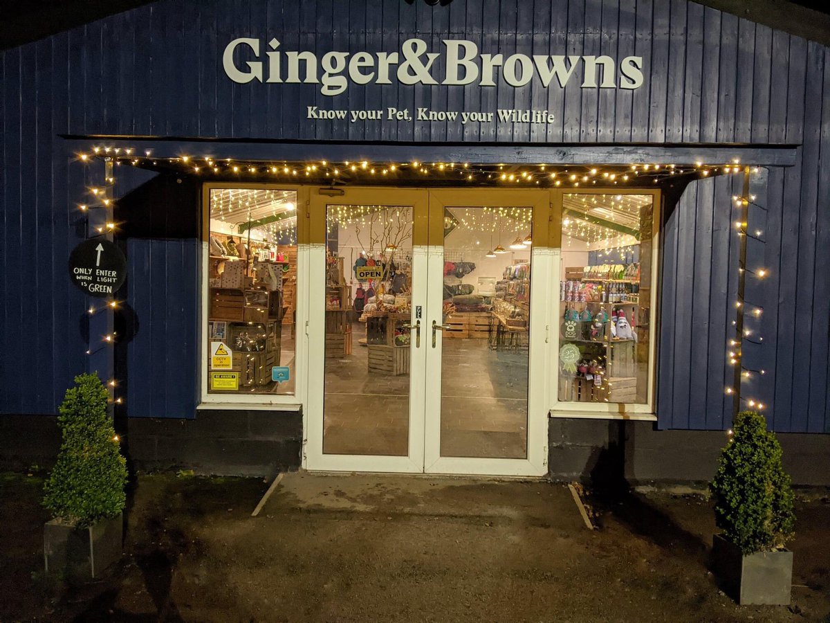 Ginger & Browns tweet media