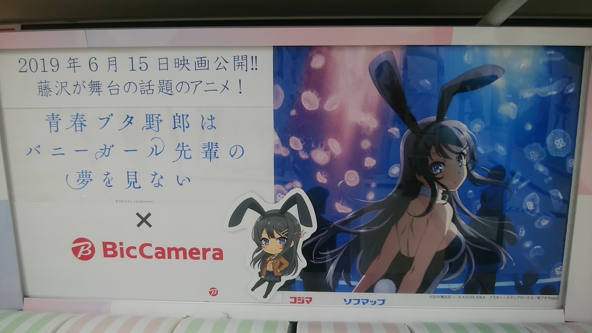 バニーガール先輩 Twitter Search Twitter