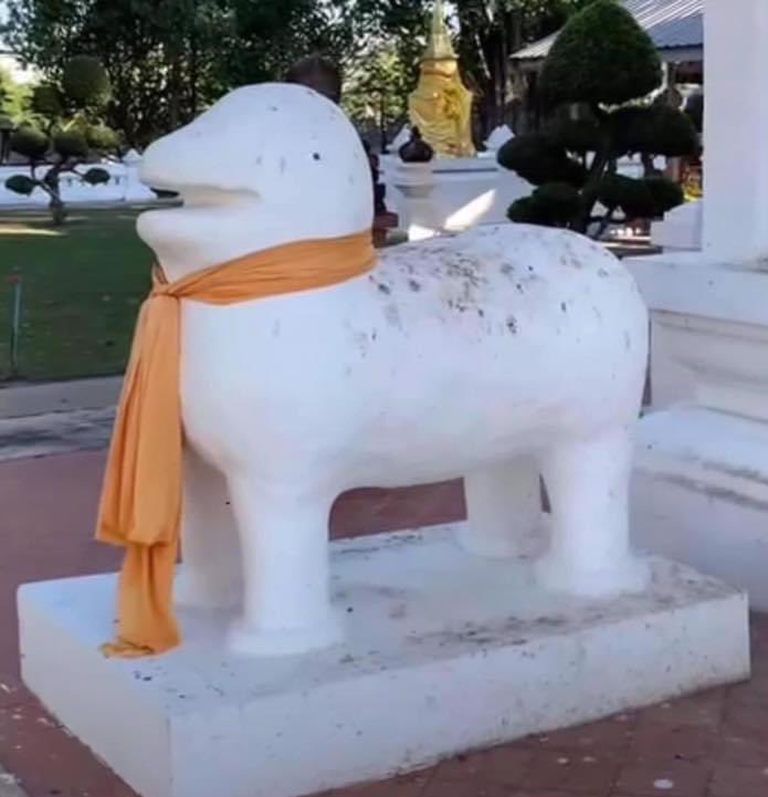 KUNGEE 🐼 | รับทำตุ๊กตา 🧸🧵🪡จองคิวในปักหมุด📌 tweet media
