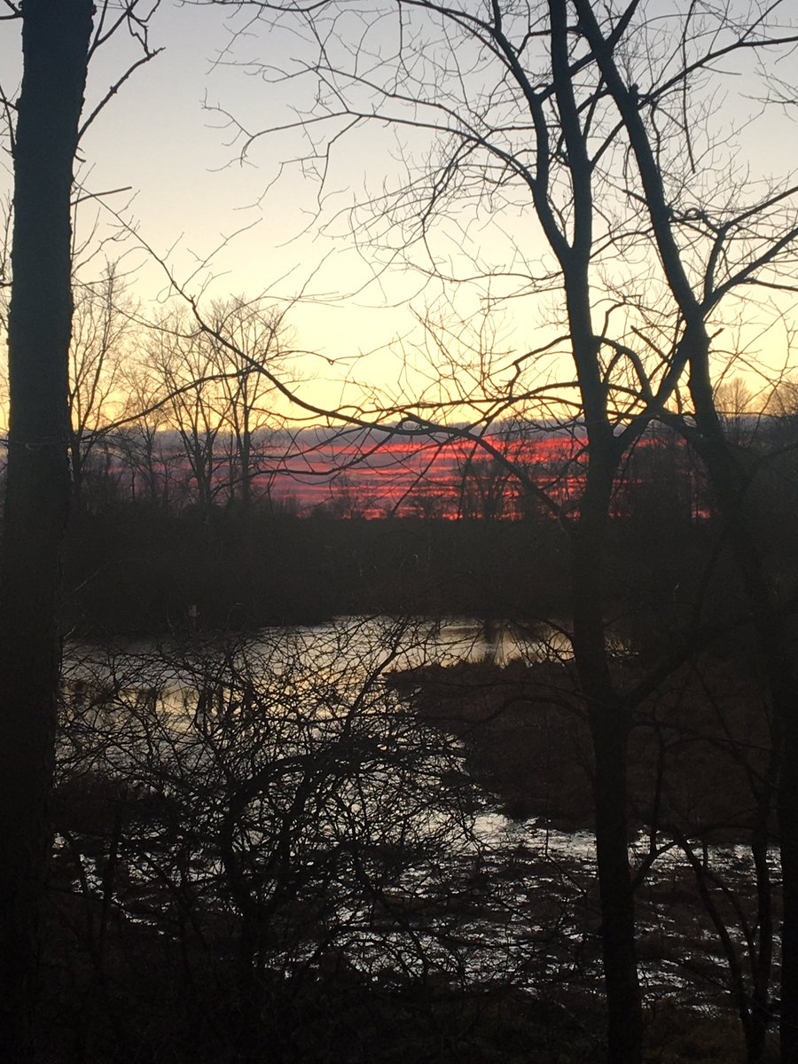 tomlschipper's tweet image. The Greatest Artist!
Thank You Lord!