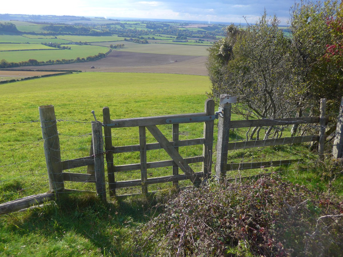 Old Winchester Hill  #Hampshire  @sdnpa  @NaturalEngland commands extensive views in all directionsThe outlook from the hillfort ramparts is breath-taking  #HillfortsWednesday  #OnTopOfTheWorld