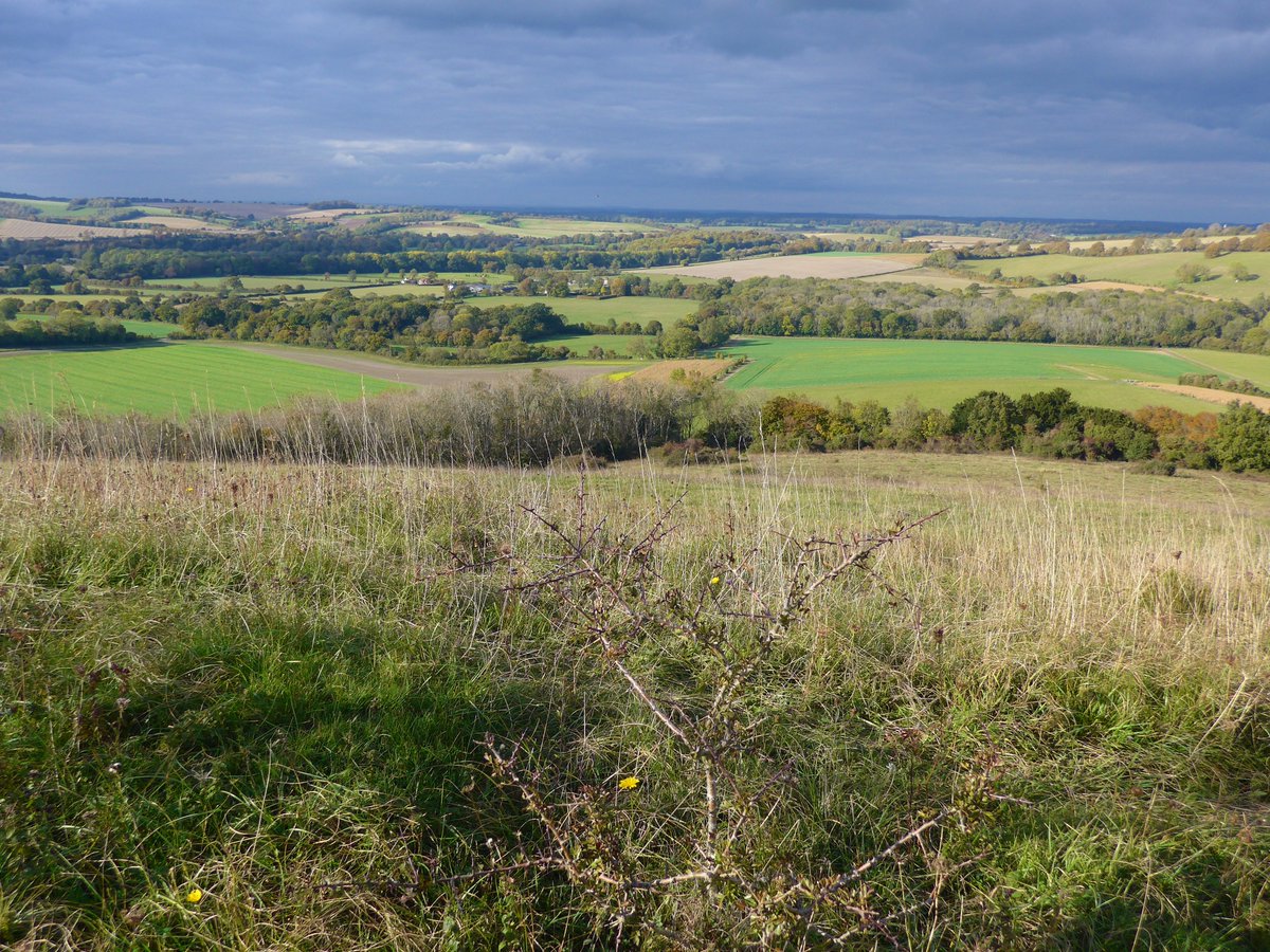 Old Winchester Hill  #Hampshire  @sdnpa  @NaturalEngland commands extensive views in all directionsThe outlook from the hillfort ramparts is breath-taking  #HillfortsWednesday  #OnTopOfTheWorld