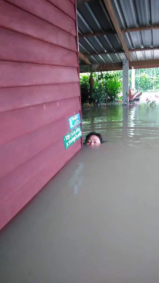 ไรท์กาก้า #ปลาซิวโต้คลื่น🐳 tweet media