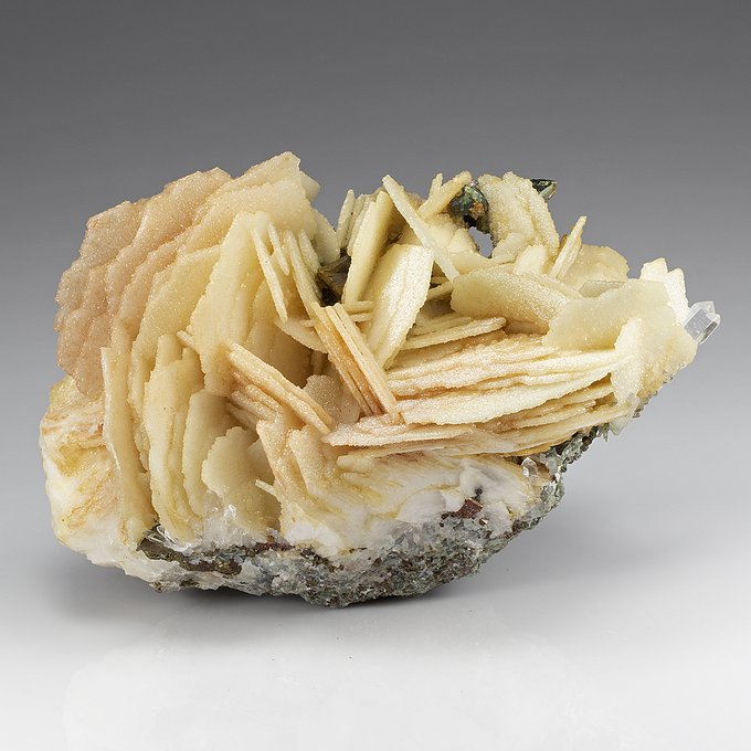 GeologyOfficial's tweet photo. Thin platy crystals of #calcite from Boldut mine, Romania.
Credit: Weinrich Minerals

#Geology #GeologyBuzz #minerals #crystals #Romania https://t.co/hit63uHJpI